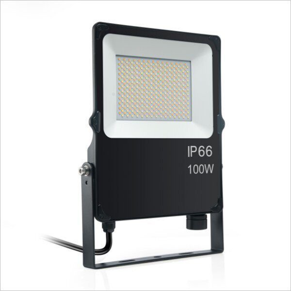 Projecteur LED 100W Noir IP66